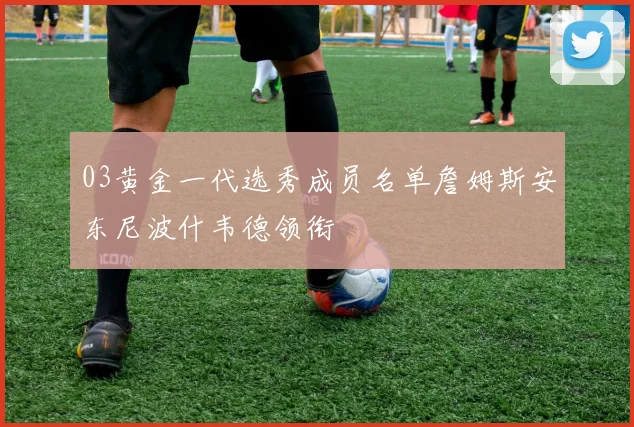 03黄金一代选秀成员名单詹姆斯安东尼波什韦德领衔
